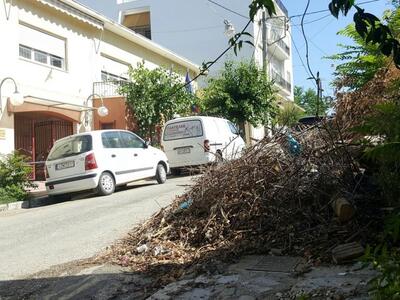 Πάτρα: Εστία τρωκτικών και ερπετών μπροσ...