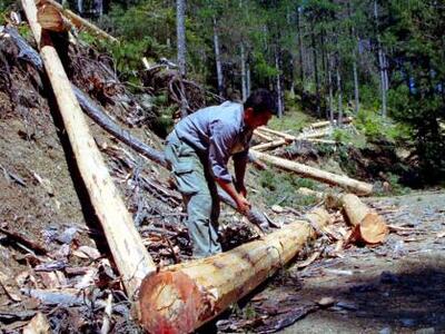 Οσοι ασχολούνται με χαρτί κινδυνεύουν να...