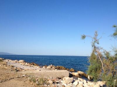 Πάτρα: Ιδανικές καιρικές συνθήκες έφεραν...