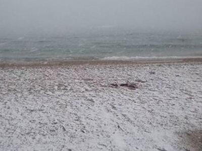 Πάτρα:Χιόνι εκεί που σκάει το ...κύμα τη...