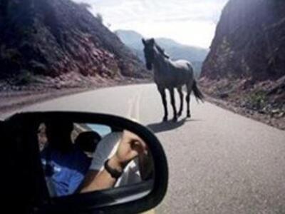 ΗΠΑ: Συνελήφθη 53χρονη γιατί οδηγούσε με...