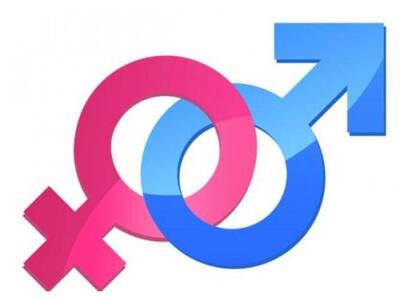 Έρευνα: Άνδρες ή γυναίκες οι πιο χαζοί;