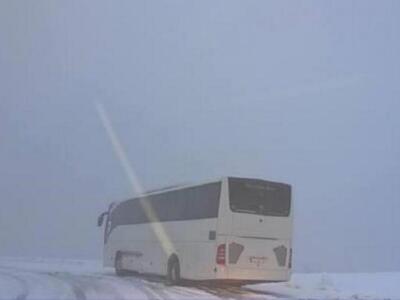 Αχαϊα: Έφθασε στα Καλάβρυτα με ασφάλεια ...