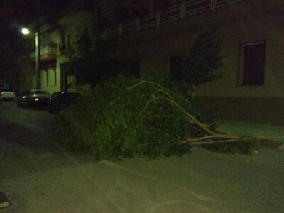 Πόντου και Πατριάρχου Ιωακείμ