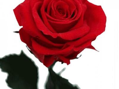 Η Άντα Δημοπούλου για τον ξαφνικό χαμό τ...