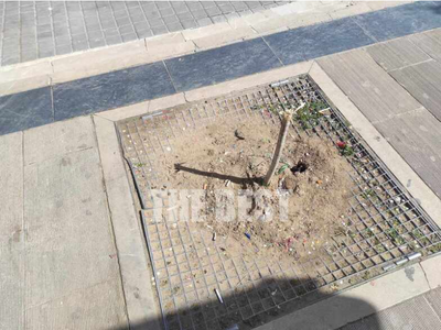 Πάτρα: Ψάχνουν από τις κάμερες τους βανδ...