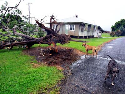 Αυστραλία: Τεράστια η ζημιά από τις πλημμύρες