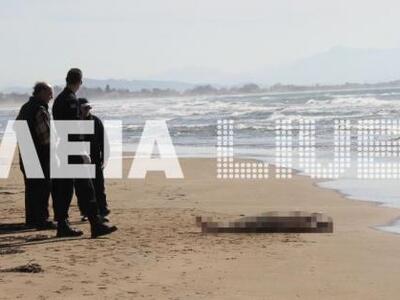 Πύργος: Λύθηκε το μισό μυστήριο  με τον ...