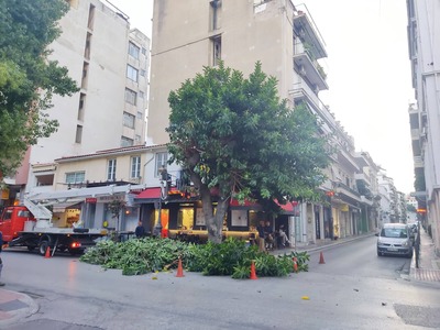 ΠΑΤΡΑ - ΦΩΤΟ: Κλαδεύουν τα δένδρα στην οδό Μαιζώνος