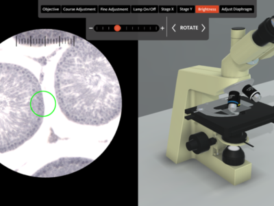 Πάτρα: Νέες διαστάσεις στην εκπαίδευση φ...