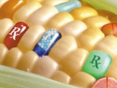 Η Γαλλία απαγόρευσε την καλλιέργεια γενε...