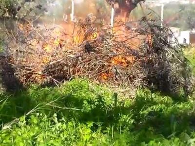 Κρήτη: Τρεις συλλήψεις για αντίστοιχες πυρκαγιές