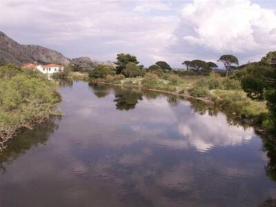 Ν. Τσούκαλης: "Να παραχωρηθούν τα ι...