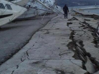  Τα ζώα δοκιμάζονται από τον σεισμό στη ...