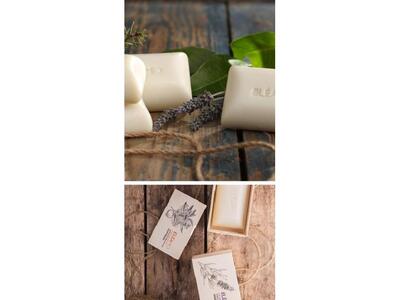 Achaia Taste-Eleamed