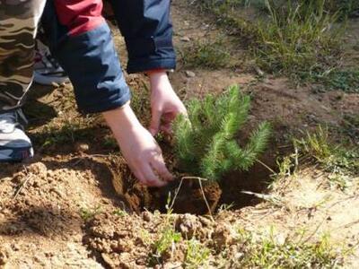 Ηλεία: Ερώτηση στην Ευρωβουλή για την ύπ...