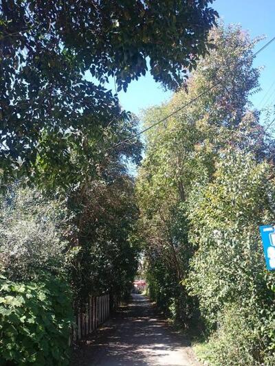 Δρομίσκος δίπλα στο δημοτικό πάρκιν του ...