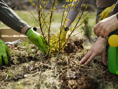 Ένωση Θυμάτων Καλαβρυτινού Ολοκαυτώματος...