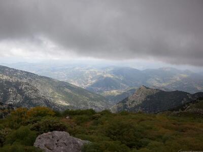 Αχαϊα: Με πολλές συμμετοχές ολοκληρώθηκε...