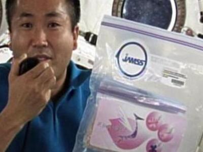 Το μυστήριο της κερασιάς που επέστρεψε α...