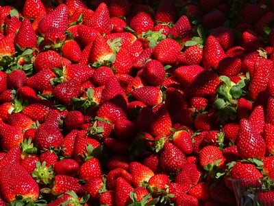 Ισπανία: Οι «φράουλες της ξηρασίας» και ...