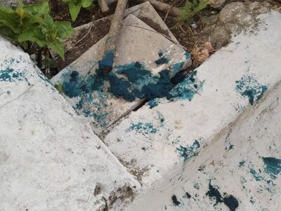 Ζαχάρω: Έριξαν δηλητήριο στα σκυλιά της ...