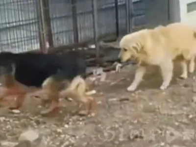 Πηγή φωτογραφίας: mp.weixin.qq.com (Κινε...