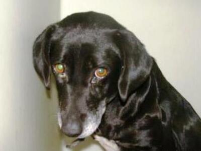 Πάτρα: Αύριο το μεσημέρι η δίκη του Πατρ...