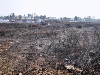 54 δασικές πυρκαγιές σε ένα 24ωρο – Υψηλ...