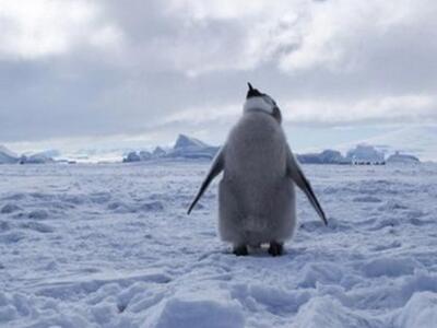 Δημιουργείται το μεγαλύτερο θαλάσσιο πάρ...