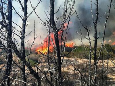 Μεγάλη φωτιά στην Ανάβυσσο Αττικής - Στο...