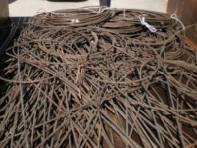 Ηλεία: Το "σαφάρι" χρυσού και ...