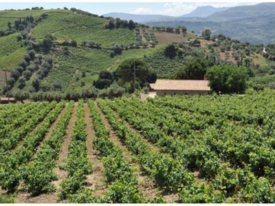 Ενημερωτική εκδήλωση για τον οίνο και τη...