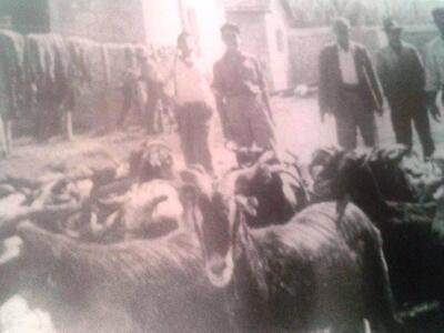 Ο Χυτρσόστομος Ζυγομαλάς δερματέμπορος σ...