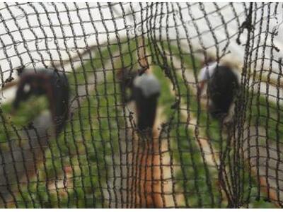 "Κι όμως, οι Έλληνες εργάζονται περ...