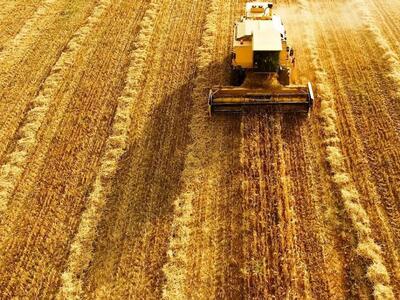 Αγρίνιο: Απατεώνες τάζουν επιδοτήσεις στ...