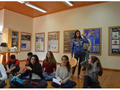 Πάτρα: Εντυπωσιακή η επισκεψιμότητα των ...