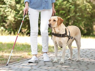 Μία ξεχωριστή, βιωματική δράση το Σάββατ...