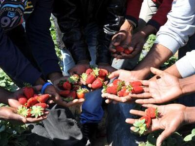 Βουπρασία: Μεγάλη κινητοποίηση της Αστυν...