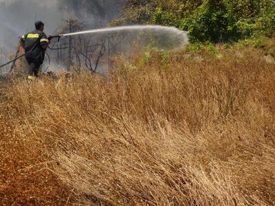Αγρίνιο: Πυρκαγιά σε δάσος στο Περιστέρι...