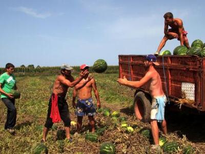 250 εκατ. από παράνομες επιδοτήσεις αγρο...