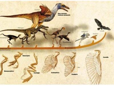 Κι όμως, όλοι οι δεινόσαυροι είχαν κάποτε φτερά!