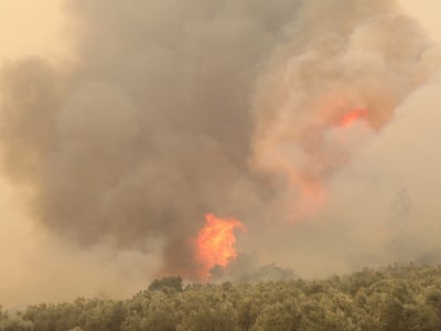 Φωτιά στην Αλεξανδρούπολη: Νέο μήνυμα το...