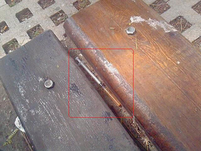 Σύρριγες ξεχασμένες δίπλα σε παιδιά