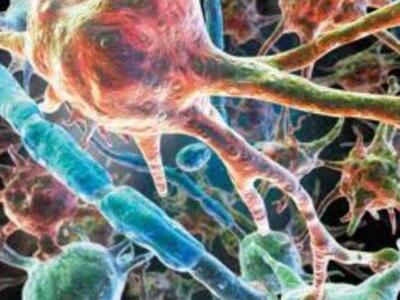 Πάτρα: 11ο Εκπαιδευτικό Σεμινάριο με τίτ...