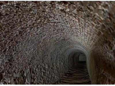 Πάτρα: Περιήγηση στο καταφύγιο της πλατε...