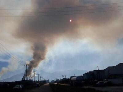 Τα πηρυνελαιουργεία της ΒΙΠΕ δουλεύουν σ...