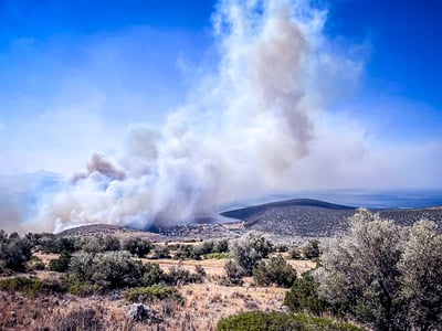 Φωτιά στη Βοιωτία: Απεγκλωβίστηκαν 60 ατ...