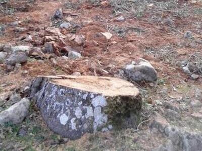 Οικολογική Δυτική Ελλάδα: Πληγή για το Ξ...