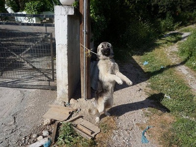 ΦΩΤΟ ΑΡΧΕΙΟΥ